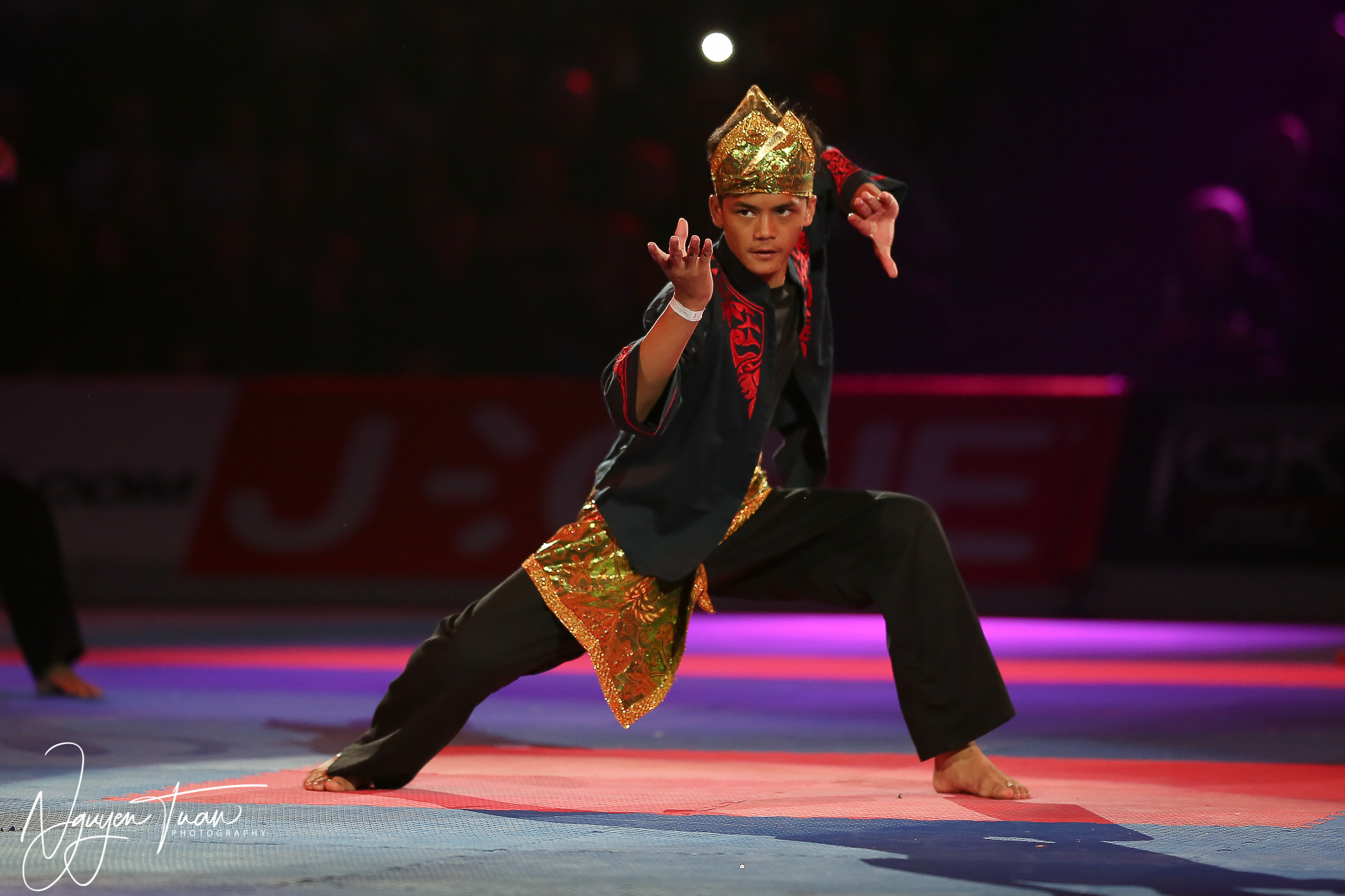 20190324 Festival des Arts Martiaux 4006